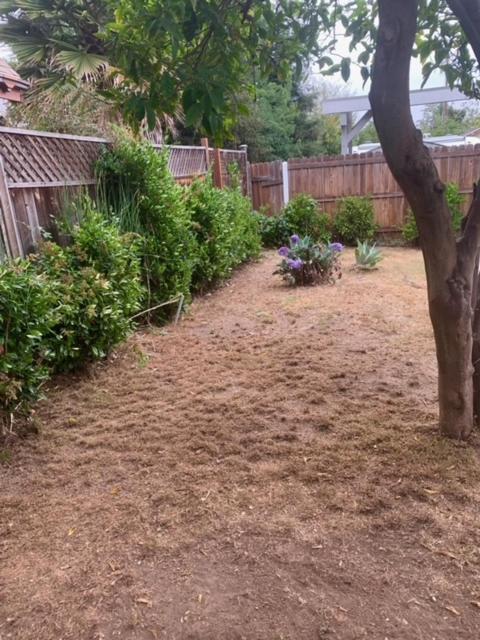 Ruth House Original Craftsman Pets, Walk To State St. Villa ซานตาบาร์บารา ภายนอก รูปภาพ